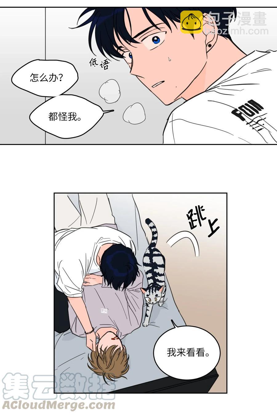 《驯虎的要领》19 取珍珠 第19页