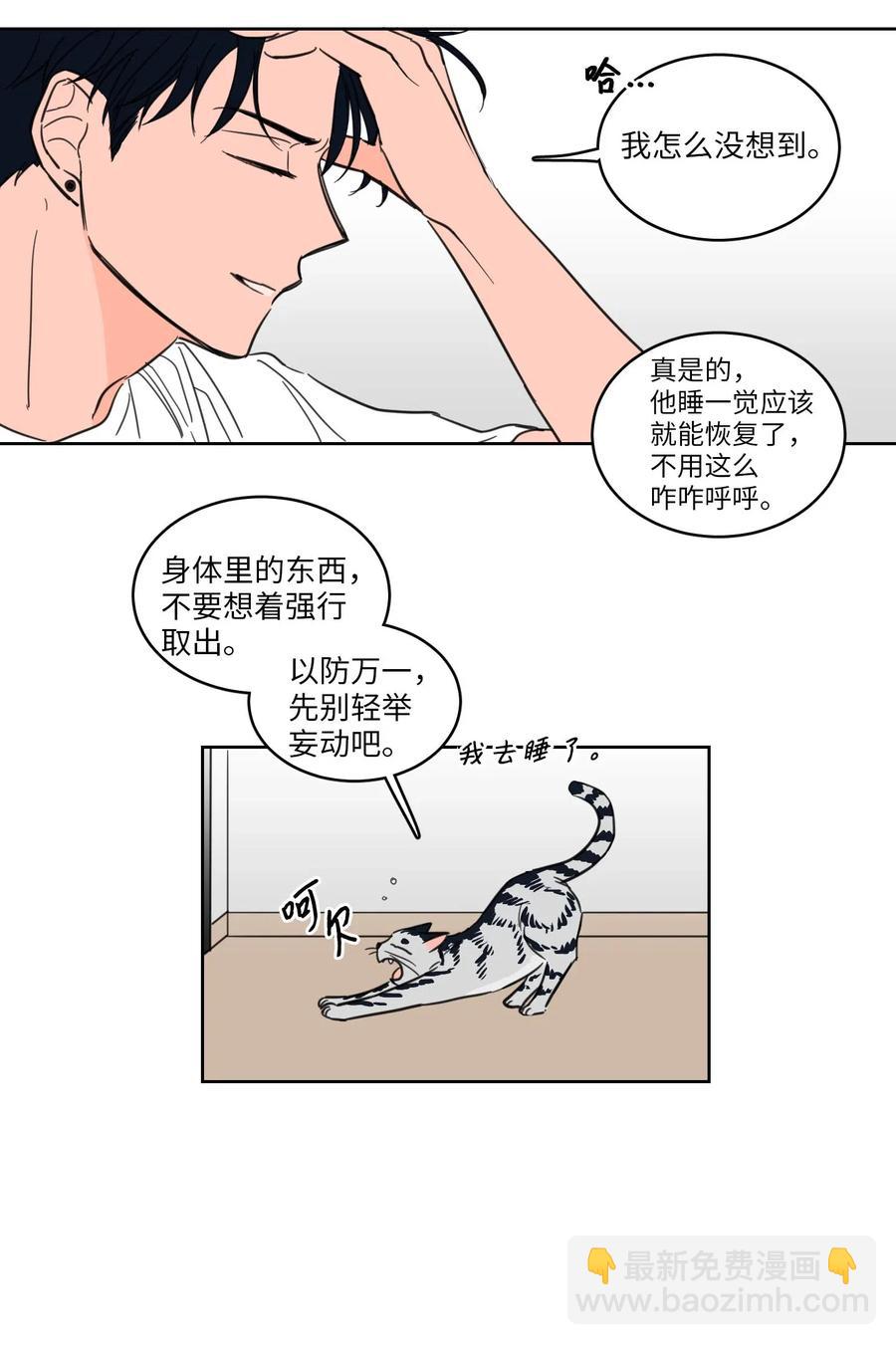 《驯虎的要领》19 取珍珠 第21页