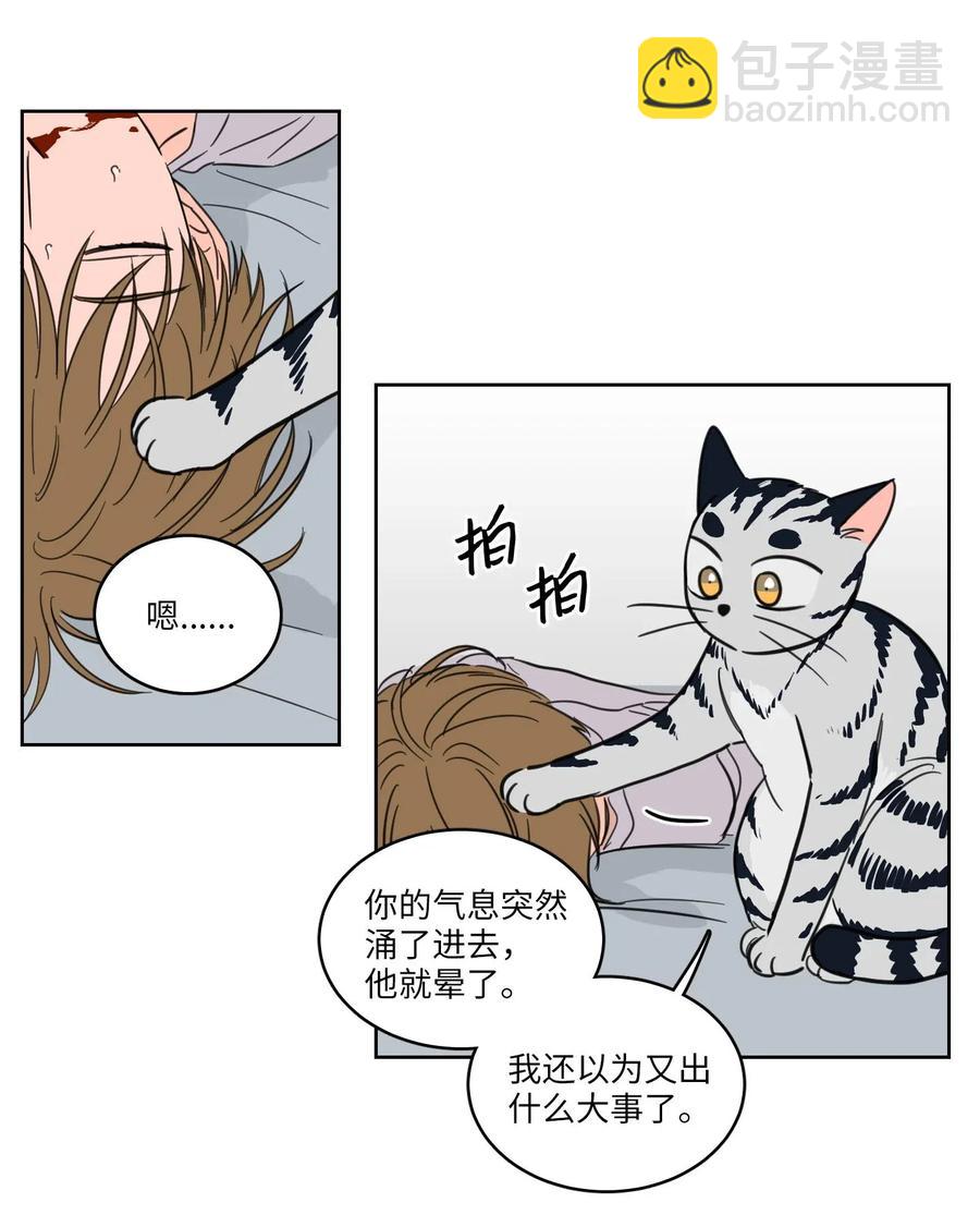 《驯虎的要领》19 取珍珠 第20页