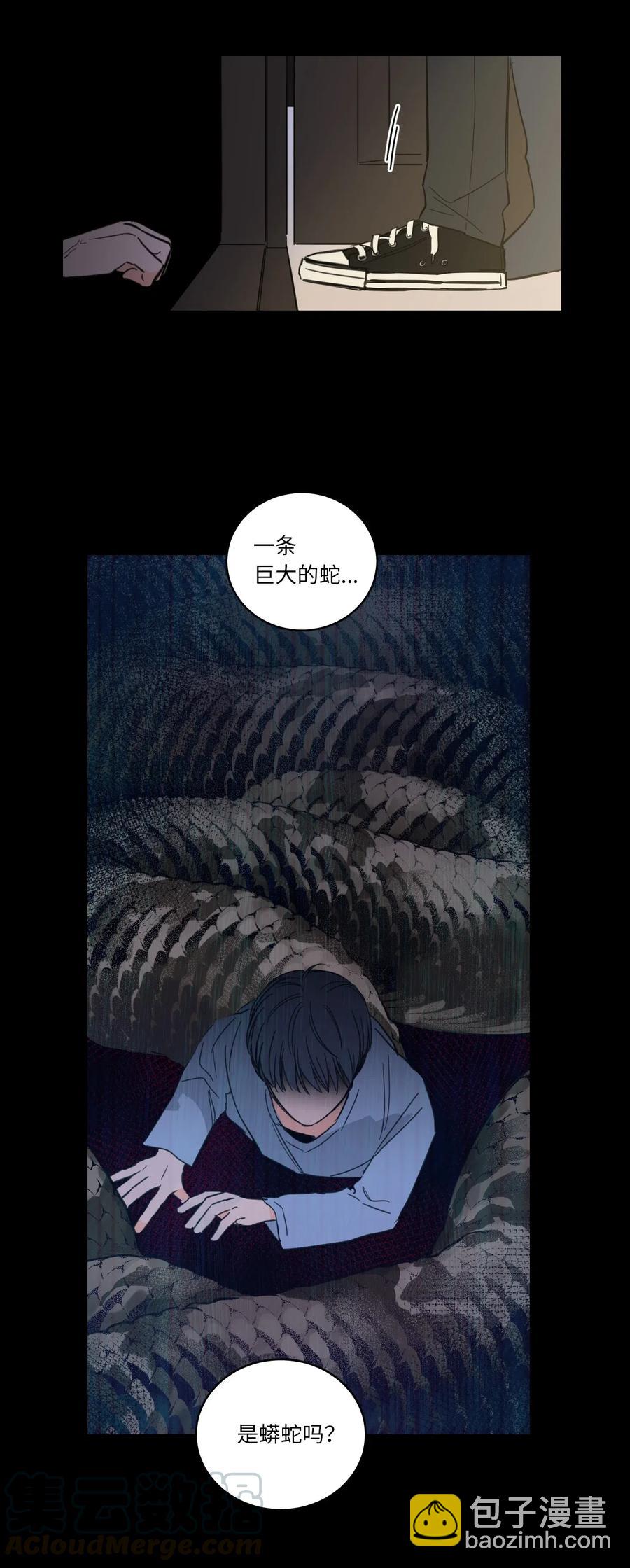 《驯虎的要领》37 像蟒蛇一样的灿英 第13页