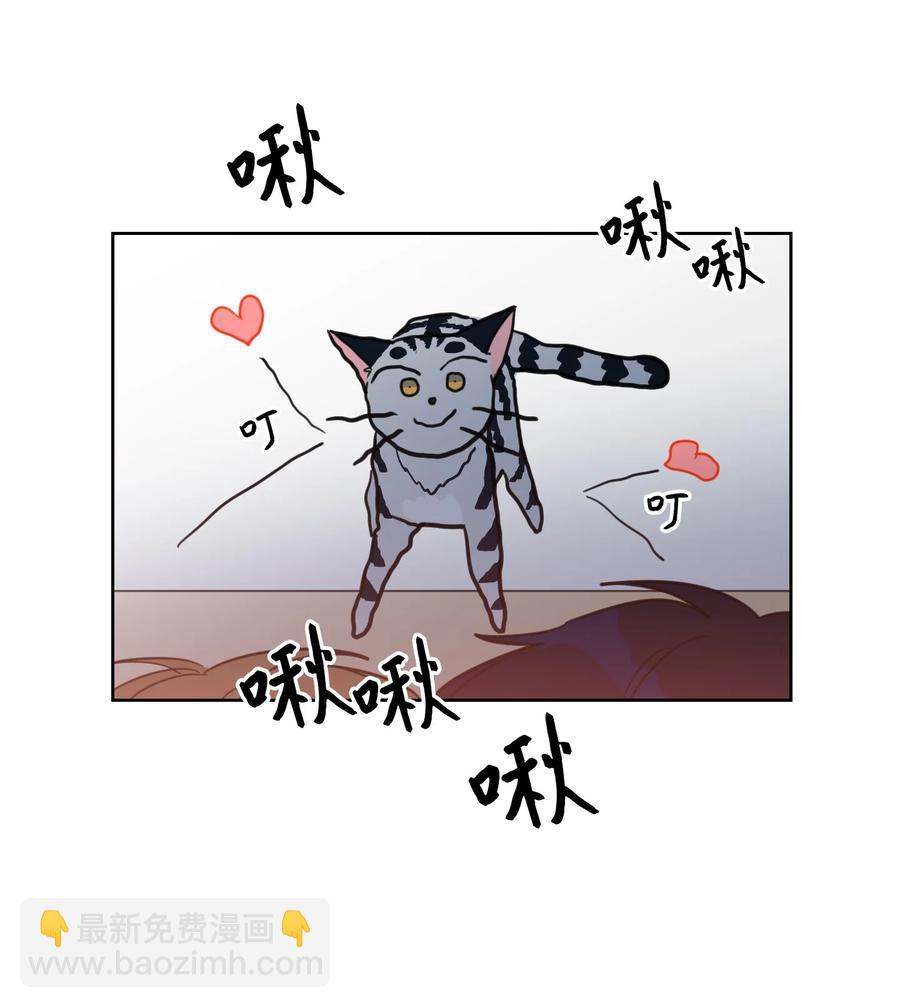 《驯虎的要领》43 未知来电 第12页