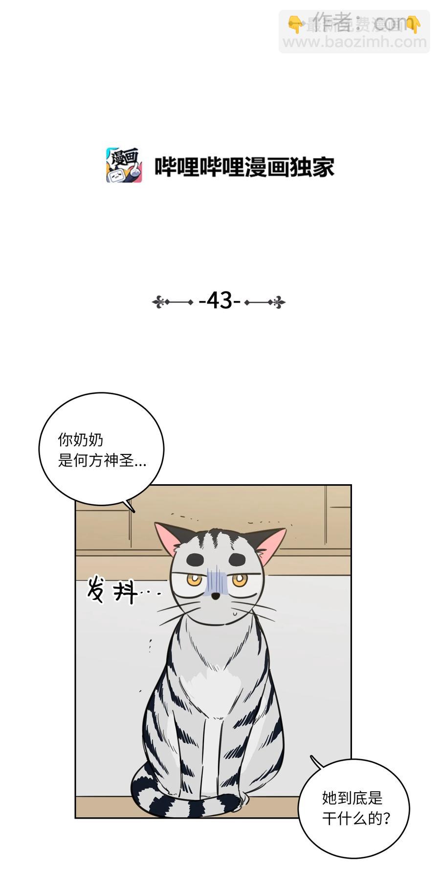 《驯虎的要领》43 未知来电 第2页