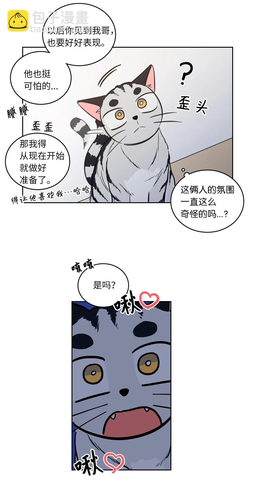 《驯虎的要领》43 未知来电 第8页