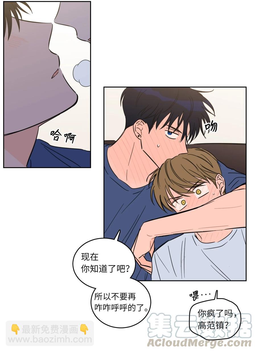 《驯虎的要领》43 未知来电 第13页