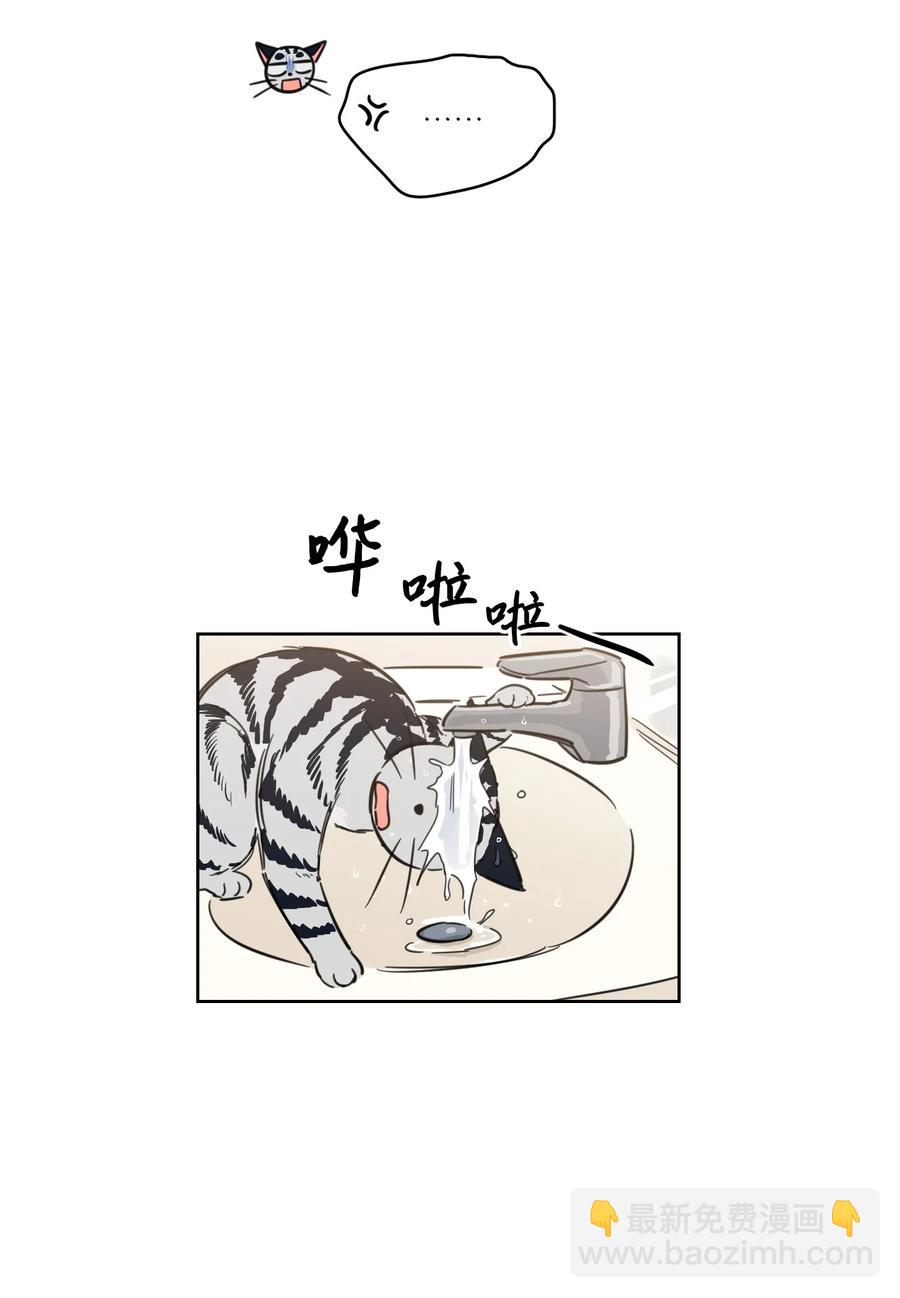 《驯虎的要领》43 未知来电 第14页