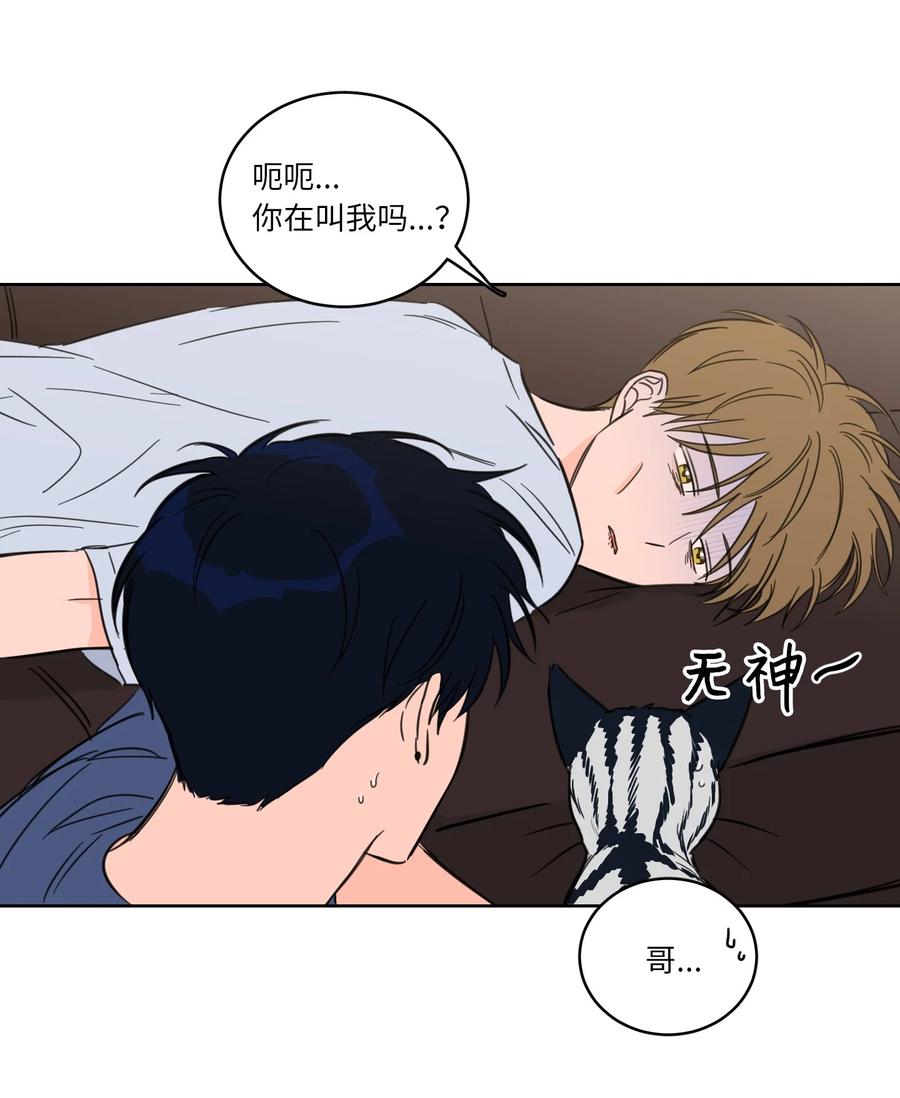 《驯虎的要领》43 未知来电 第6页
