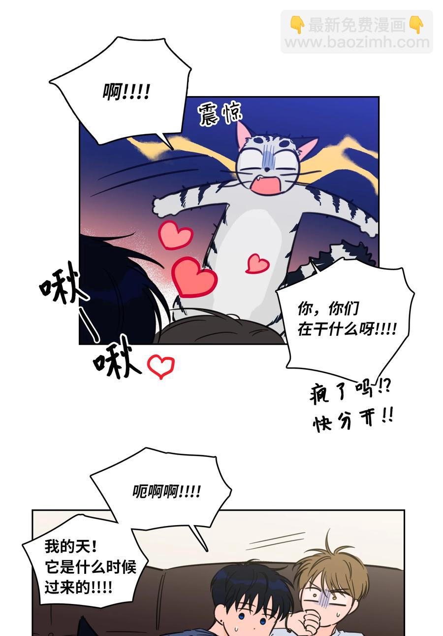《驯虎的要领》43 未知来电 第9页