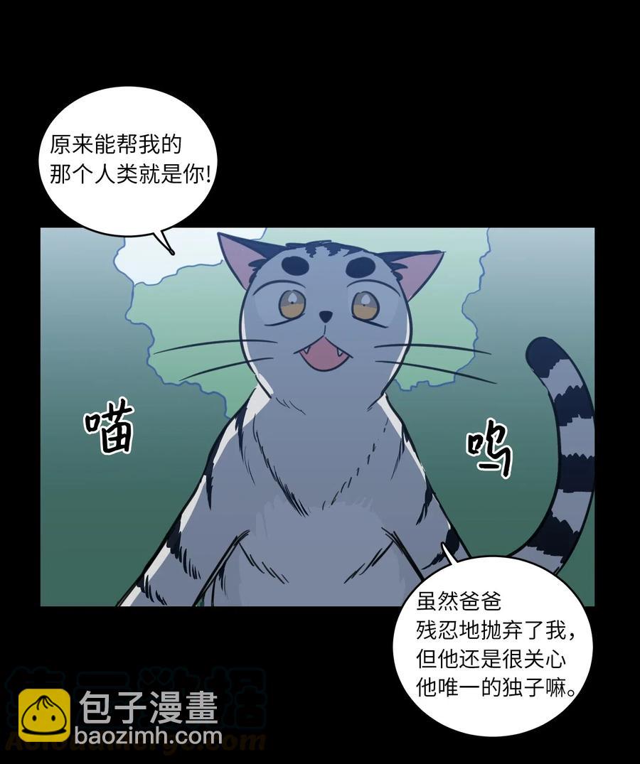 《驯虎的要领》41 特别的力量 第37页