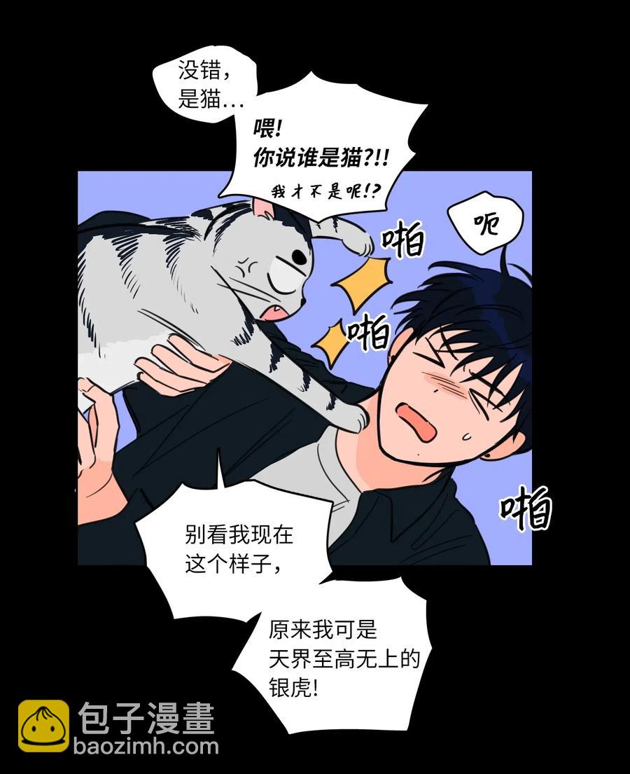 《驯虎的要领》41 特别的力量 第39页