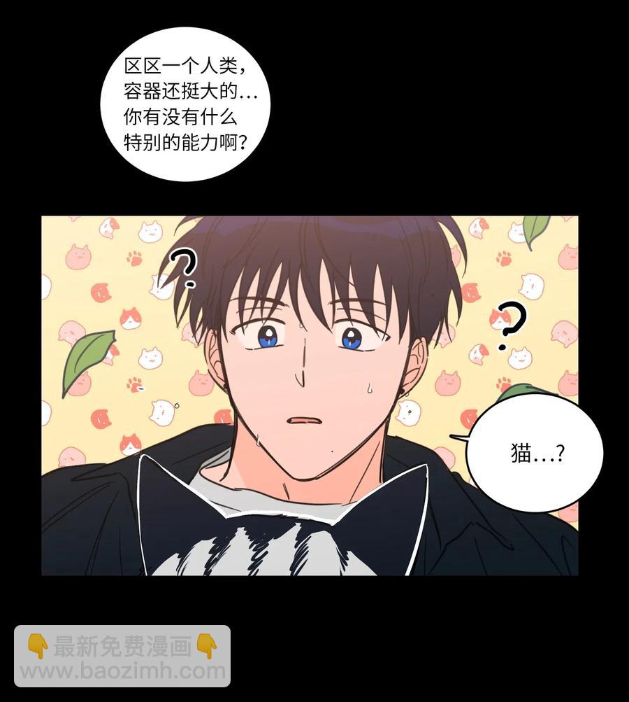 《驯虎的要领》41 特别的力量 第38页