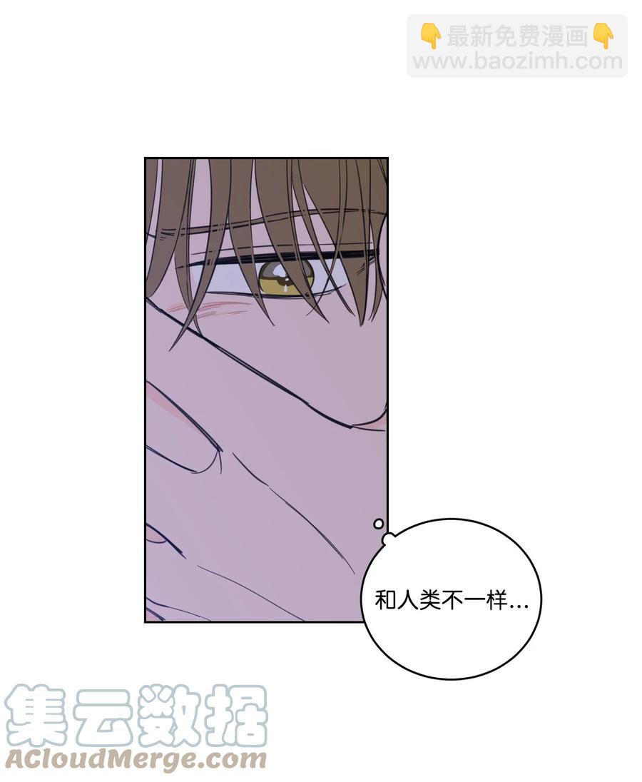 《驯虎的要领》51 哥哥的谎言 第34页