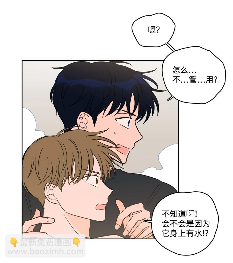 《驯虎的要领》55 你后悔吗 第6页