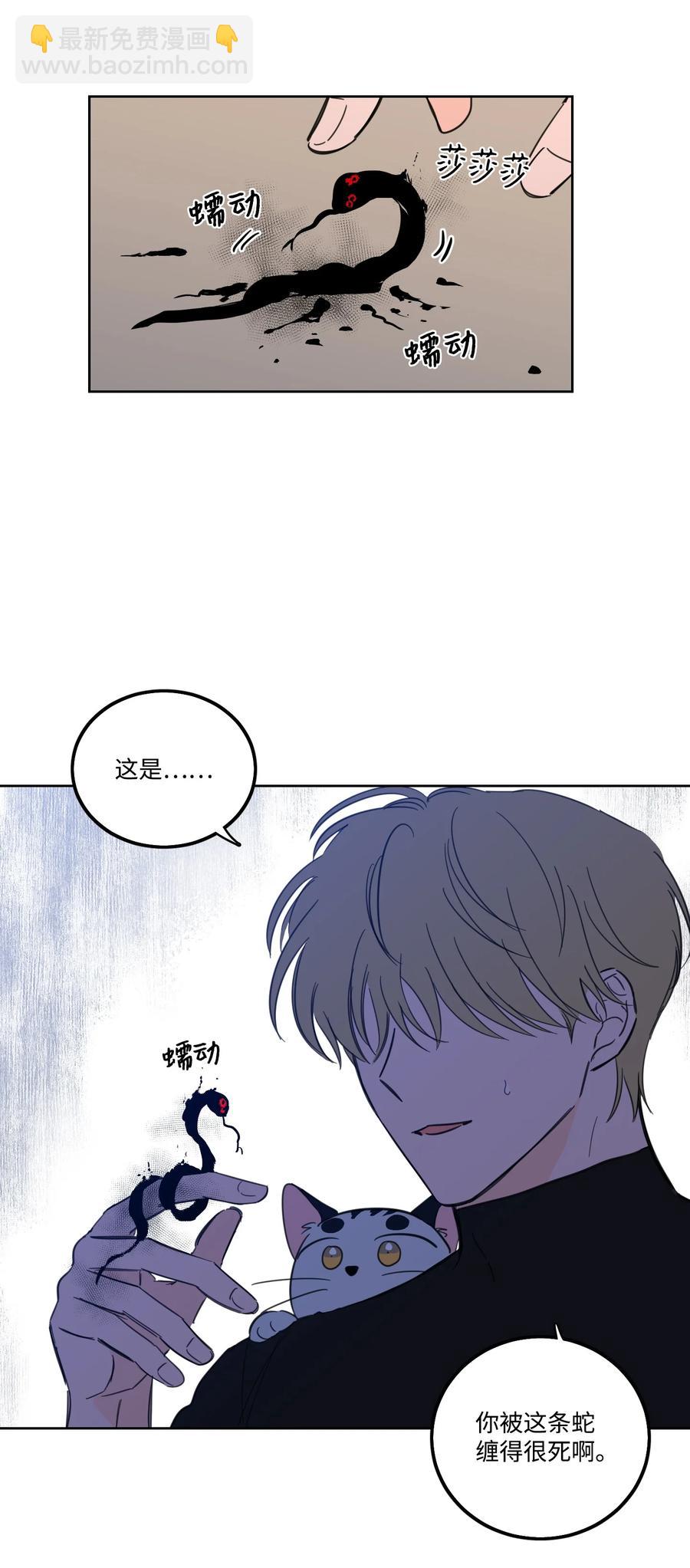 《驯虎的要领》56 蟒蛇的诅咒 第15页