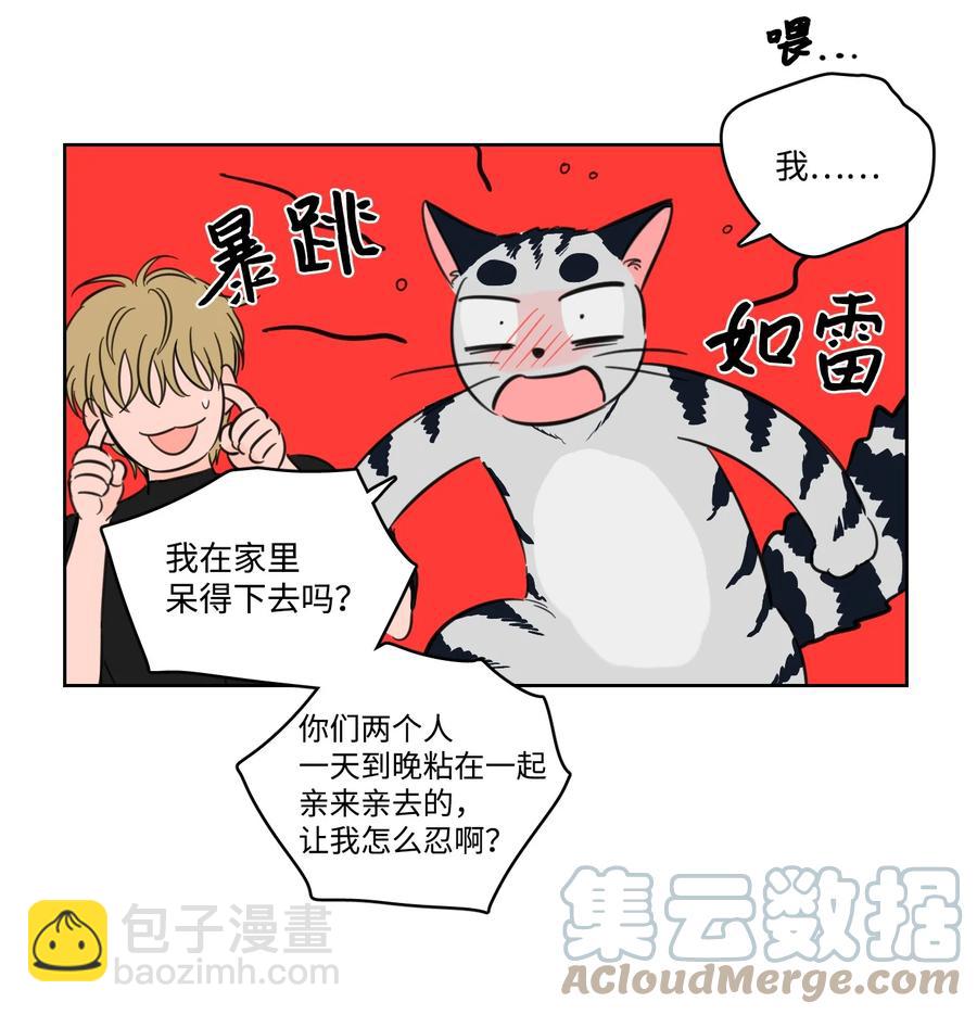 《驯虎的要领》56 蟒蛇的诅咒 第4页