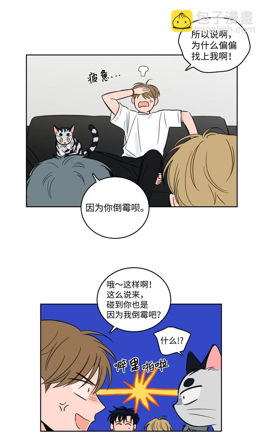 《驯虎的要领》56 蟒蛇的诅咒 第38页