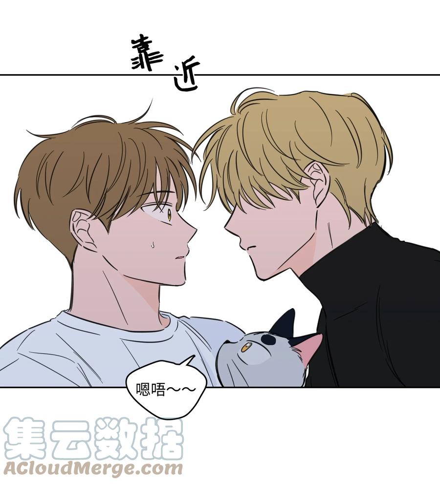 《驯虎的要领》56 蟒蛇的诅咒 第7页
