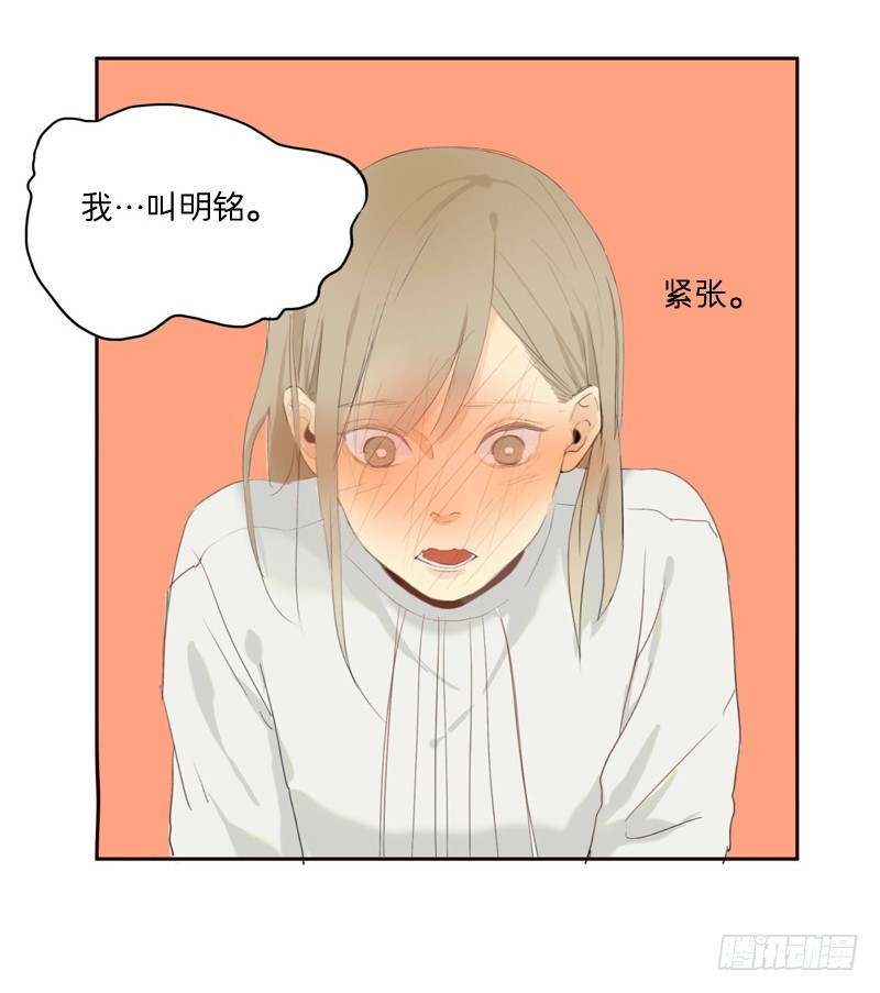 《为什么是女生》自我介绍 第13页
