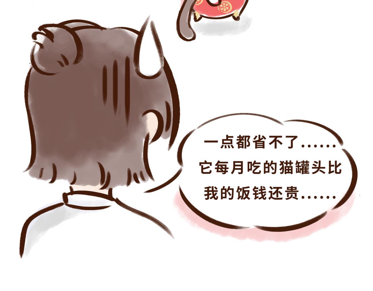 《唐妞驾到》11月特辑唐人”剁手“指南 第5页