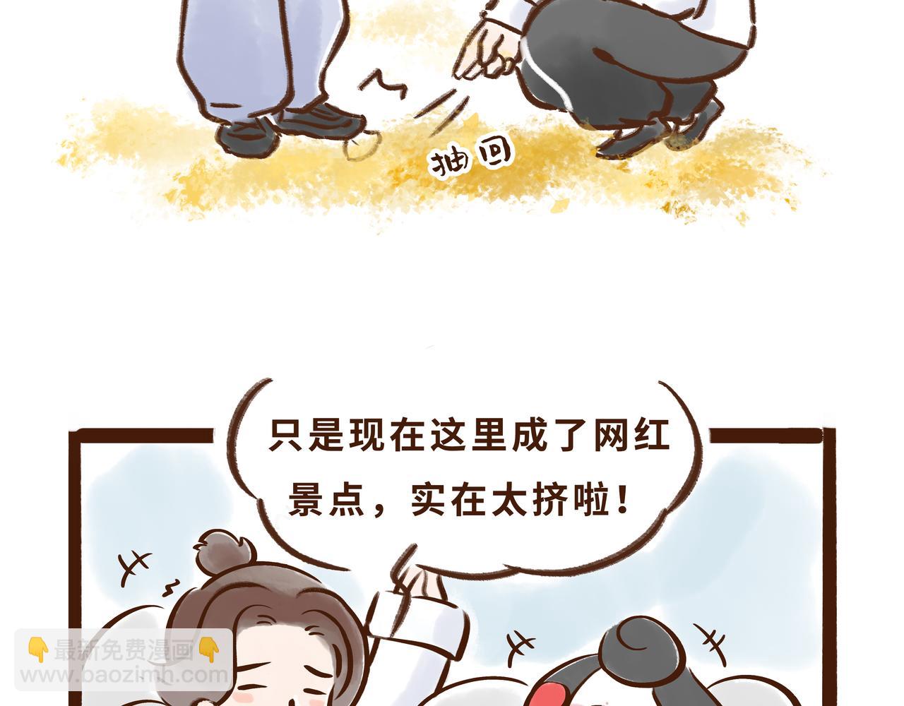 《唐妞驾到》火遍外网的千年银杏树的故事 第10页