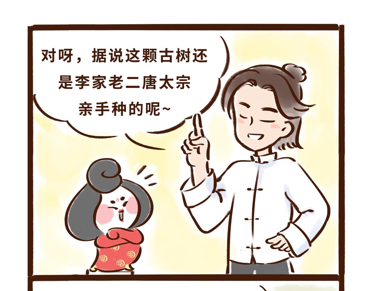 《唐妞驾到》火遍外网的千年银杏树的故事 第12页