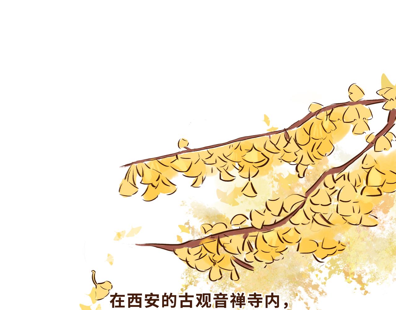 《唐妞驾到》火遍外网的千年银杏树的故事 第1页