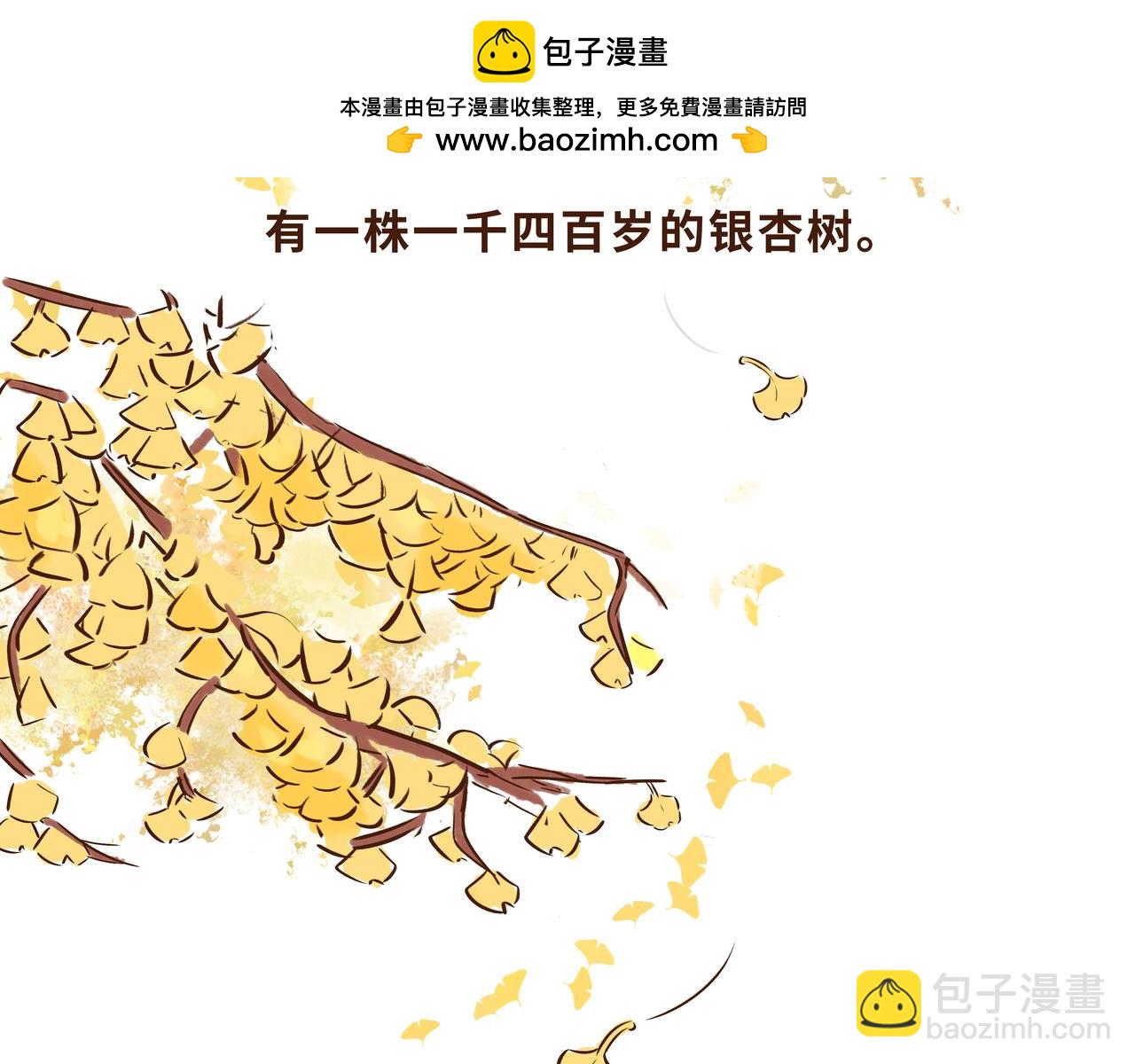 《唐妞驾到》火遍外网的千年银杏树的故事 第2页