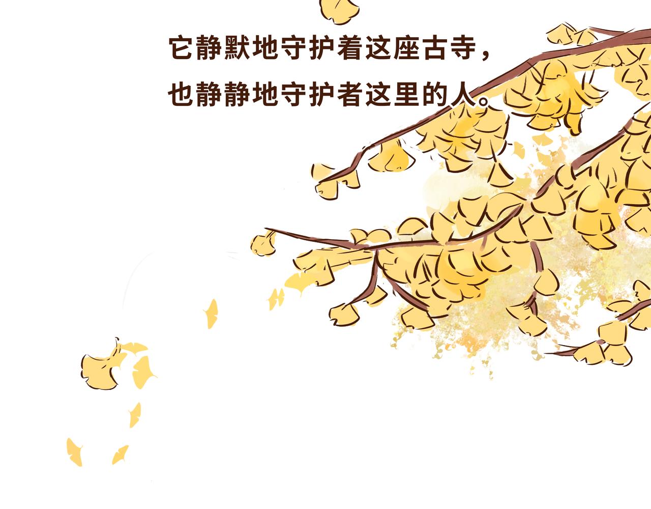 《唐妞驾到》火遍外网的千年银杏树的故事 第3页