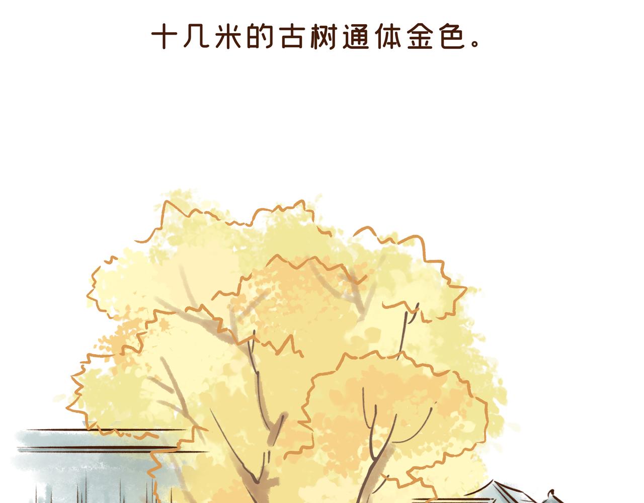 《唐妞驾到》曾一天内涌入7万游客的古观音禅寺，背后有着一段离奇传说 第6页