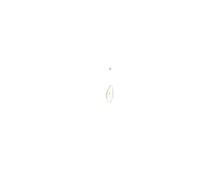 《最喜欢你的那十年》第34话 时贤的日记本 第49页