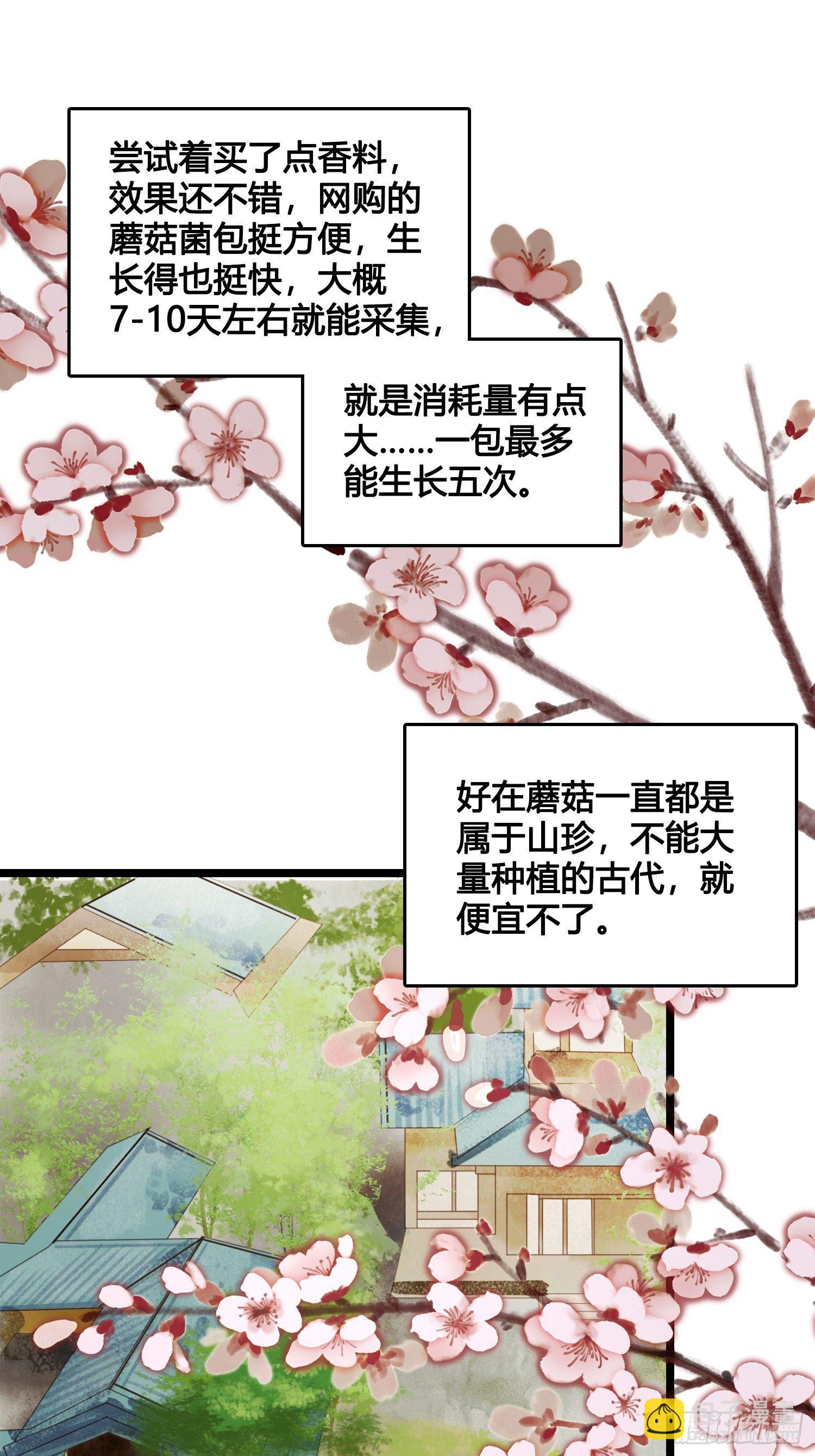 《设定一直在坑我》第013话 我觉得我被套路了 第33页