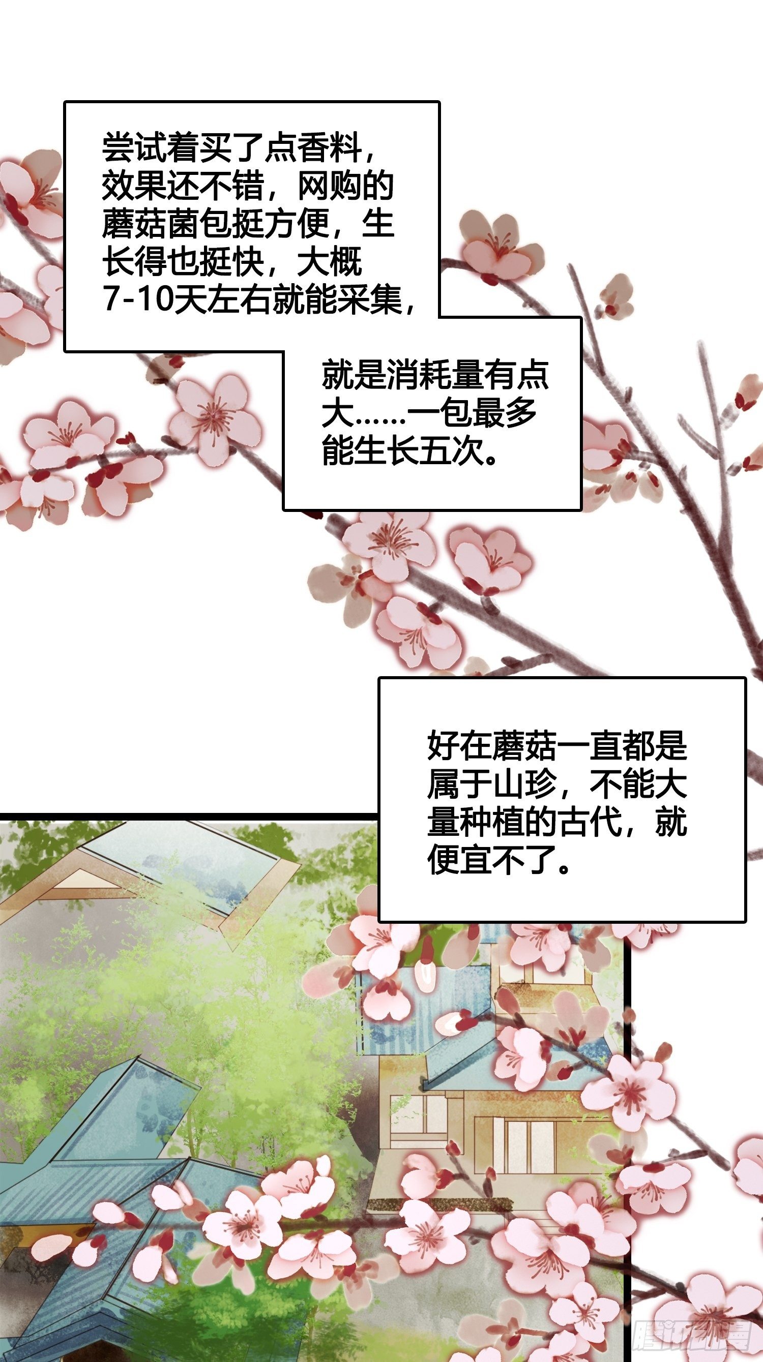 《设定一直在坑我》第013话 我觉得我被套路了 第33页