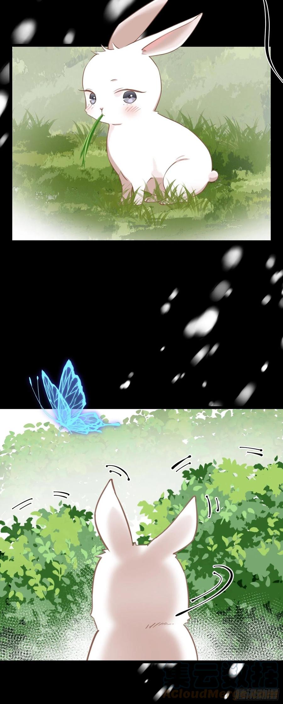 《设定一直在坑我》第033话我们什么都没看到 第11页