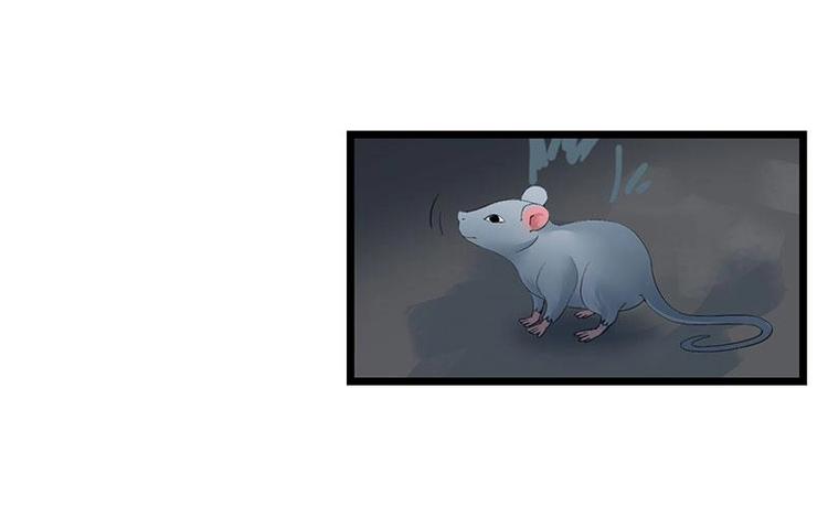 《幻化恋物语》5 第9页