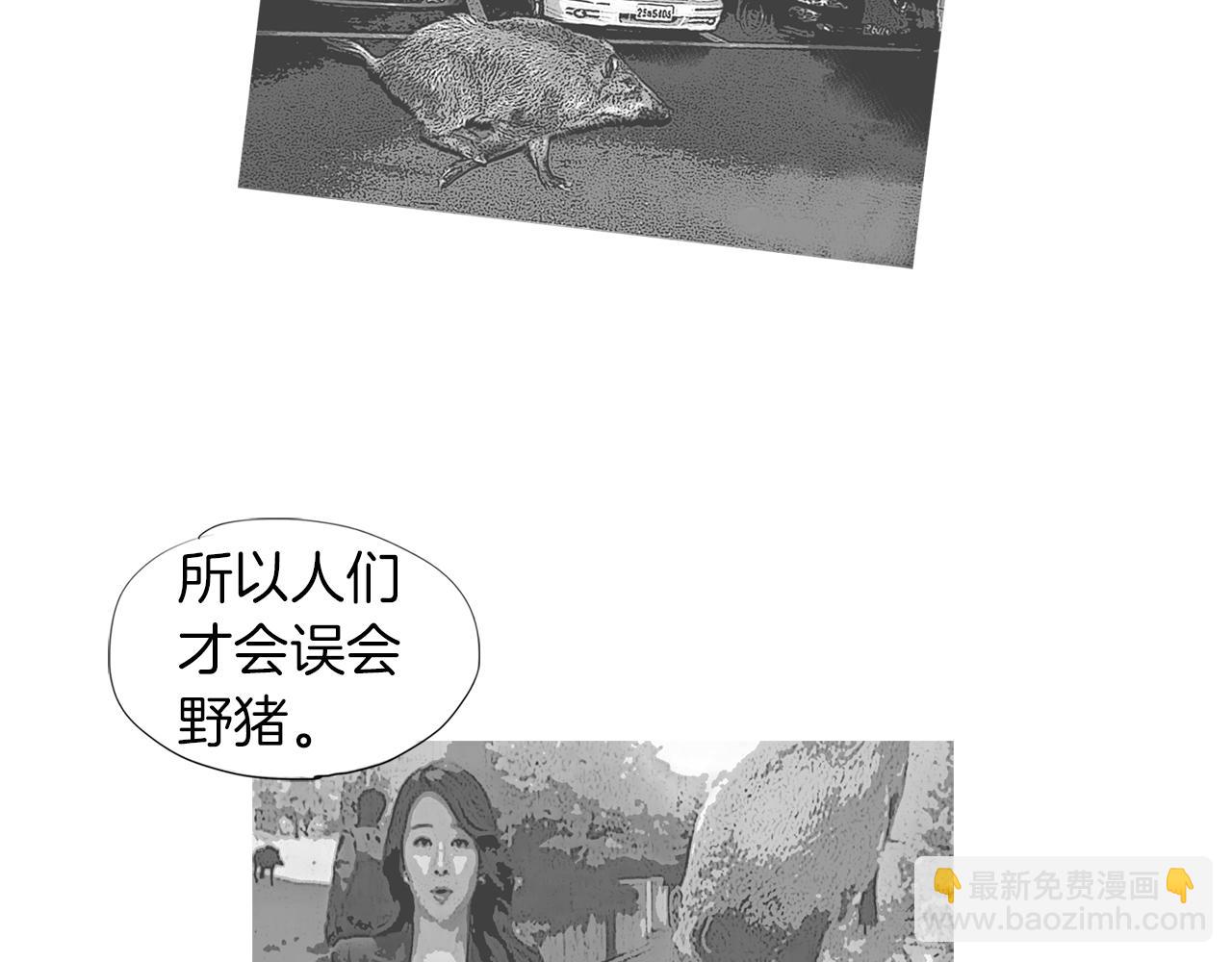 《终极格斗王》第42话 野猪节目？ 第24页