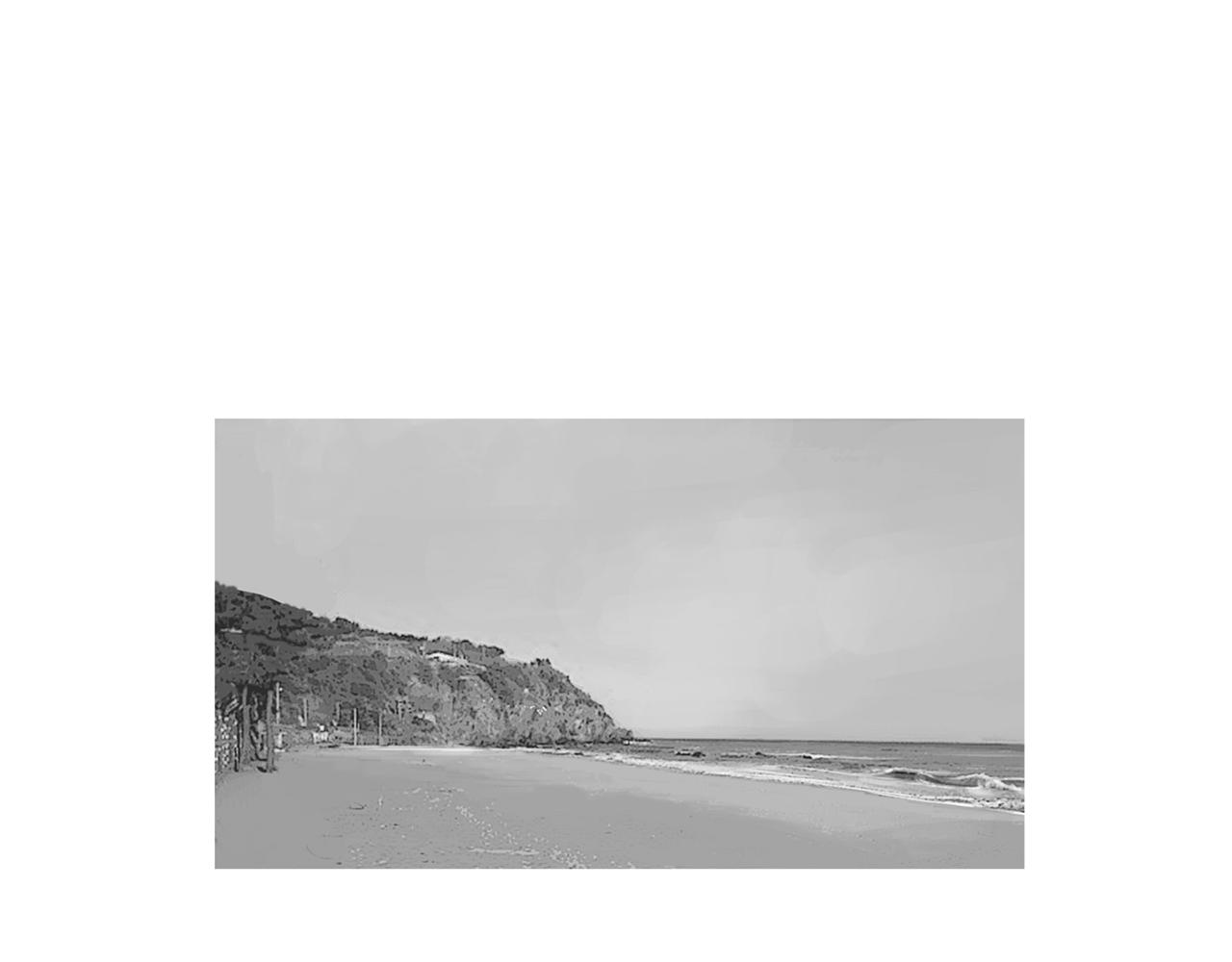 《终极格斗王》第55话 止痛药 第41页
