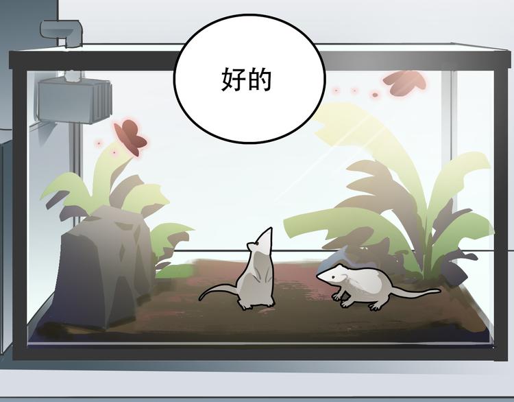《蛊蝶》第27话 理由 第2页