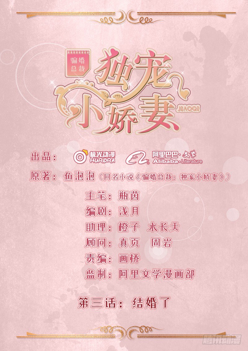《骗婚总裁独宠小娇妻》3-结婚了 第1页