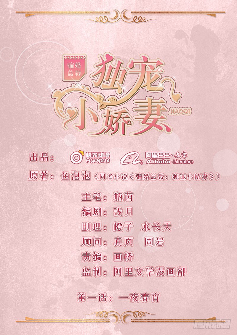 《骗婚总裁独宠小娇妻》1-一夜春宵 第1页