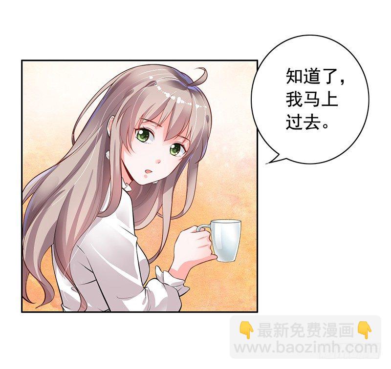 《骗婚总裁独宠小娇妻》4-老公回来了 第33页