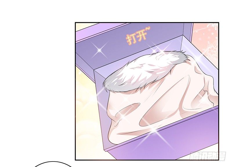 《骗婚总裁独宠小娇妻》7-自己的小窝 第38页