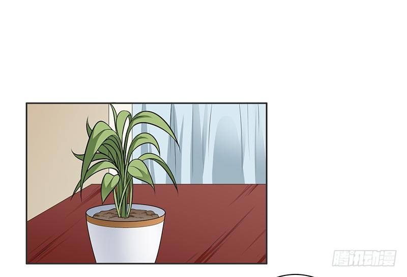 《骗婚总裁独宠小娇妻》11-求婚 第16页