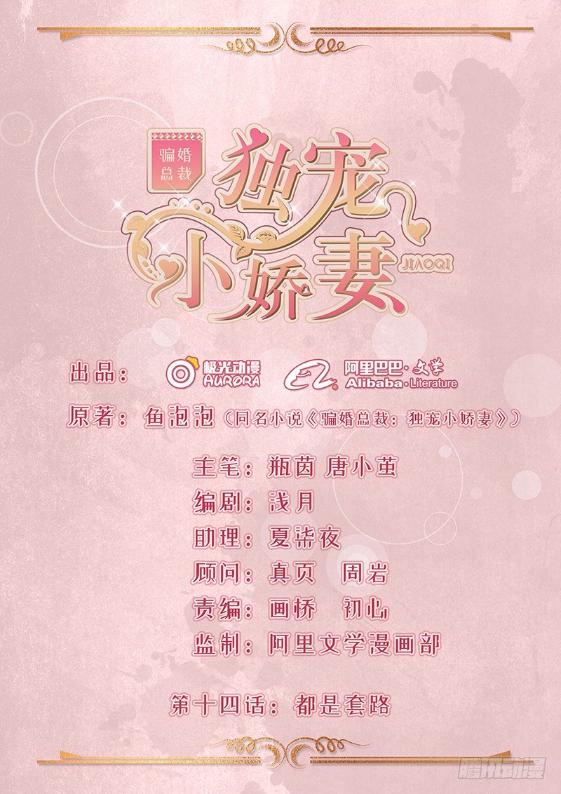 《骗婚总裁独宠小娇妻》14-都是套路 第1页