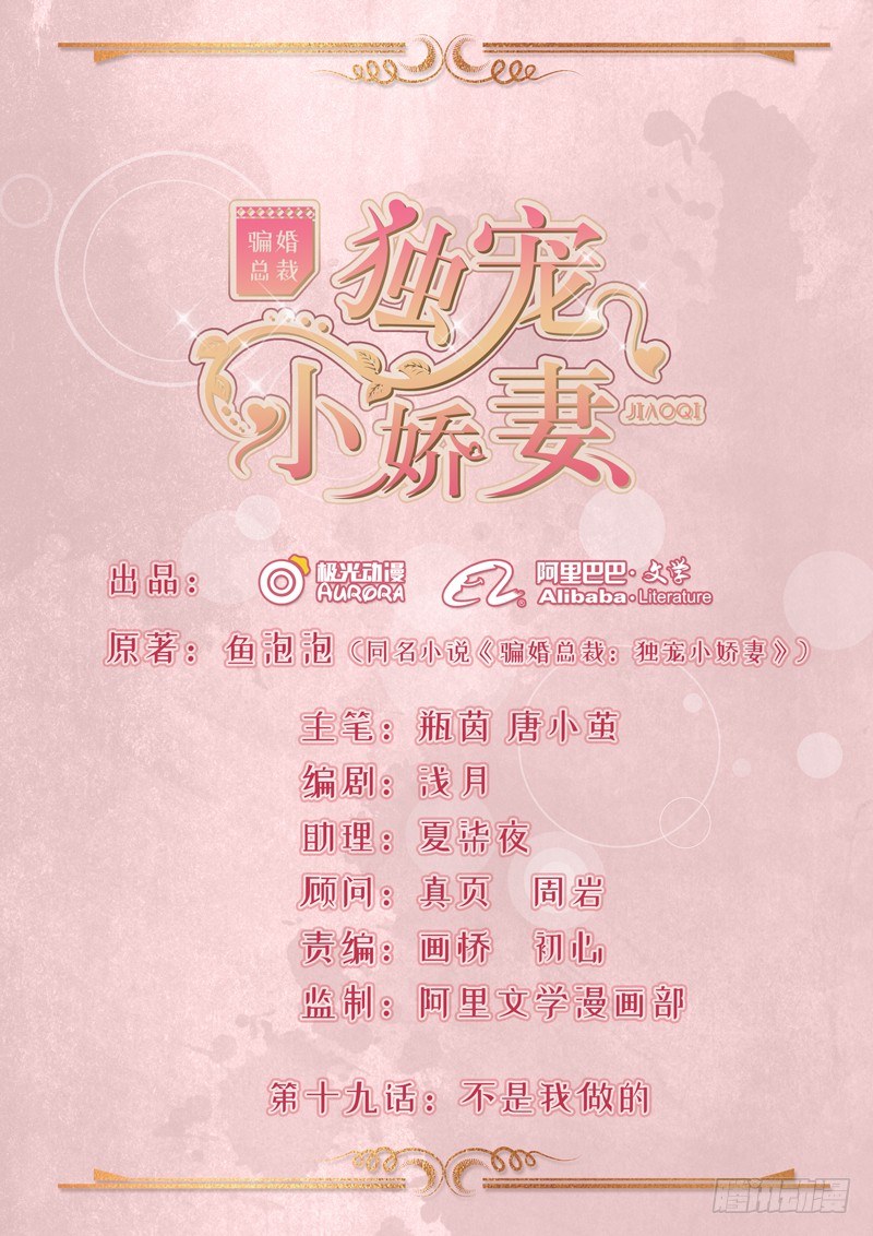 《骗婚总裁独宠小娇妻》19-不是我做的 第1页