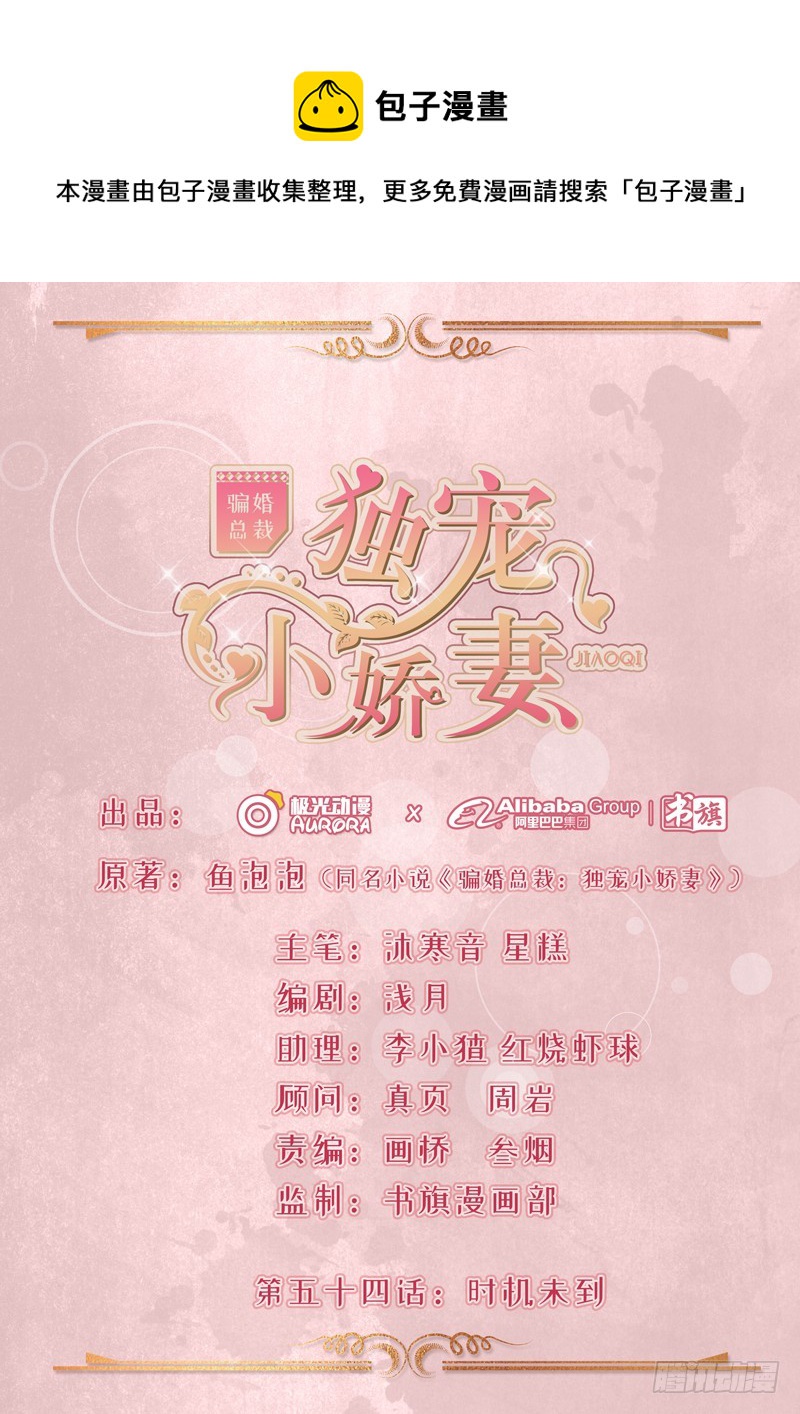《骗婚总裁独宠小娇妻》54-时机未到 第1页