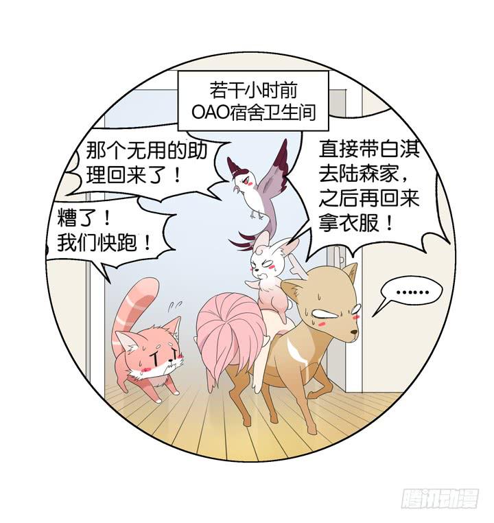 《偶像饲养手册·出道吧!OAO》遥不可及的他 第25页