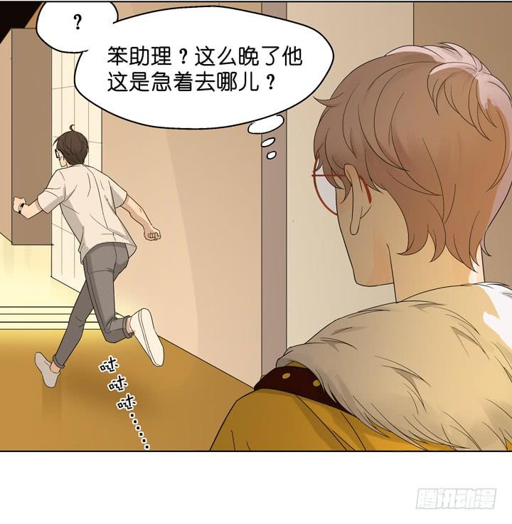 《偶像饲养手册·出道吧!OAO》塞纳河畔的阴谋 第5页