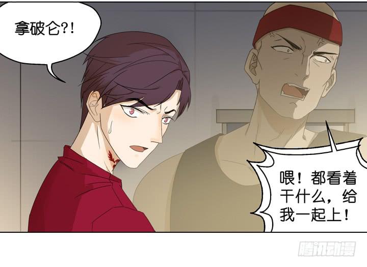 《偶像饲养手册·出道吧!OAO》拿破仑的最终决定 第5页