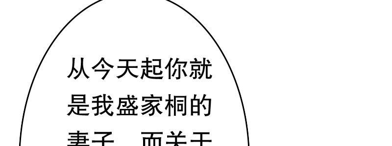 《亿万首席的蜜宠宝贝》27关于妻子的义务 第29页