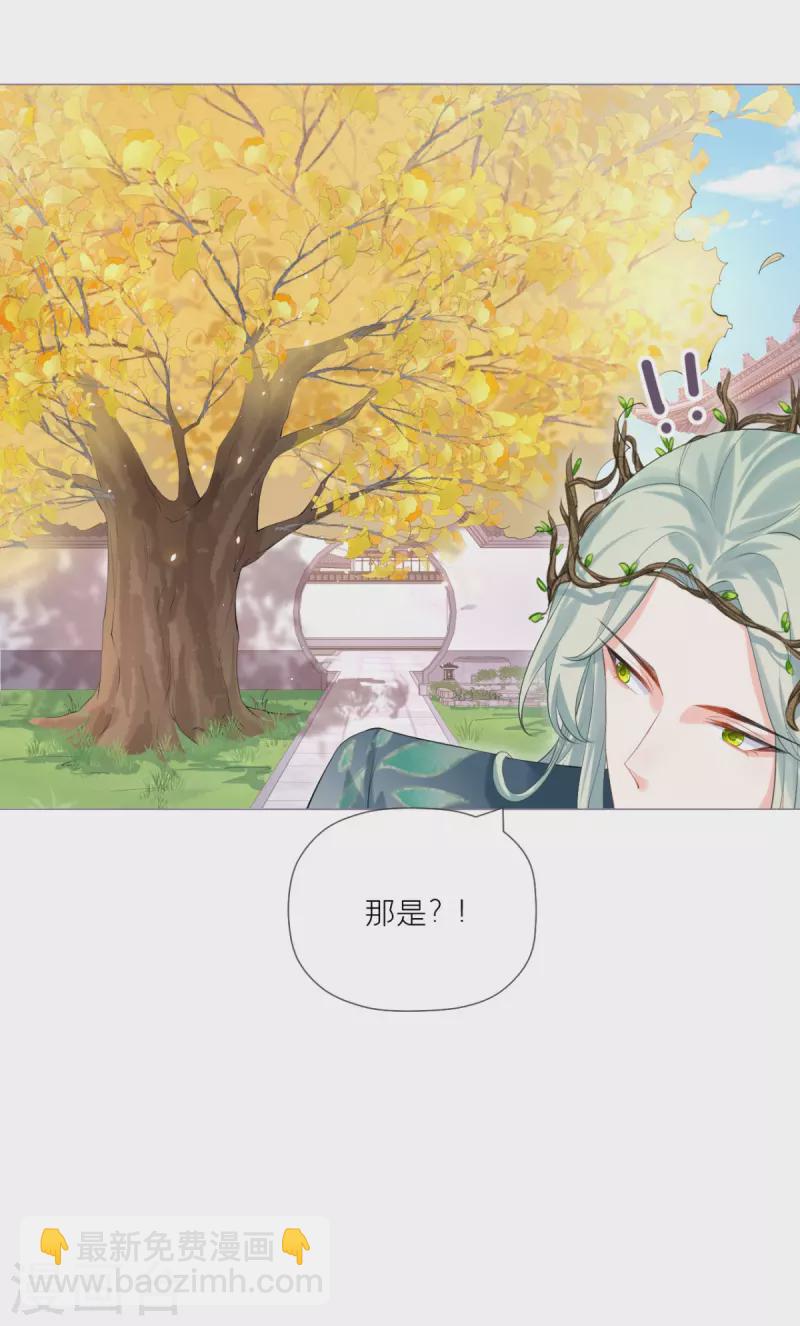 《萌主人设又崩啦！》第34话 在逃森林王子 第50页