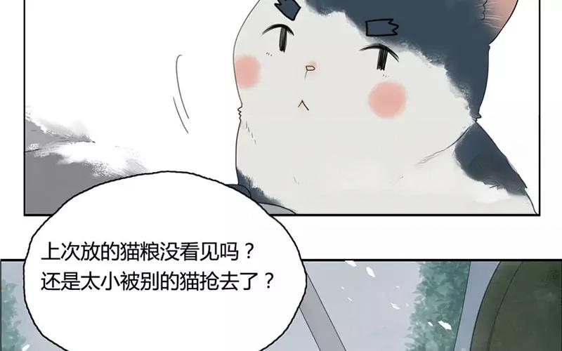 《人间快递》第19话纯洁的灵魂（中） 第7页